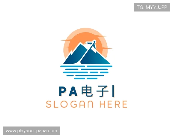 关于PA电子官网